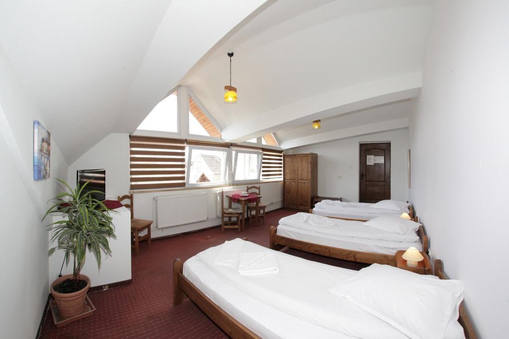 Pensiunea Cocosul Rosu Sibiu Room photo
