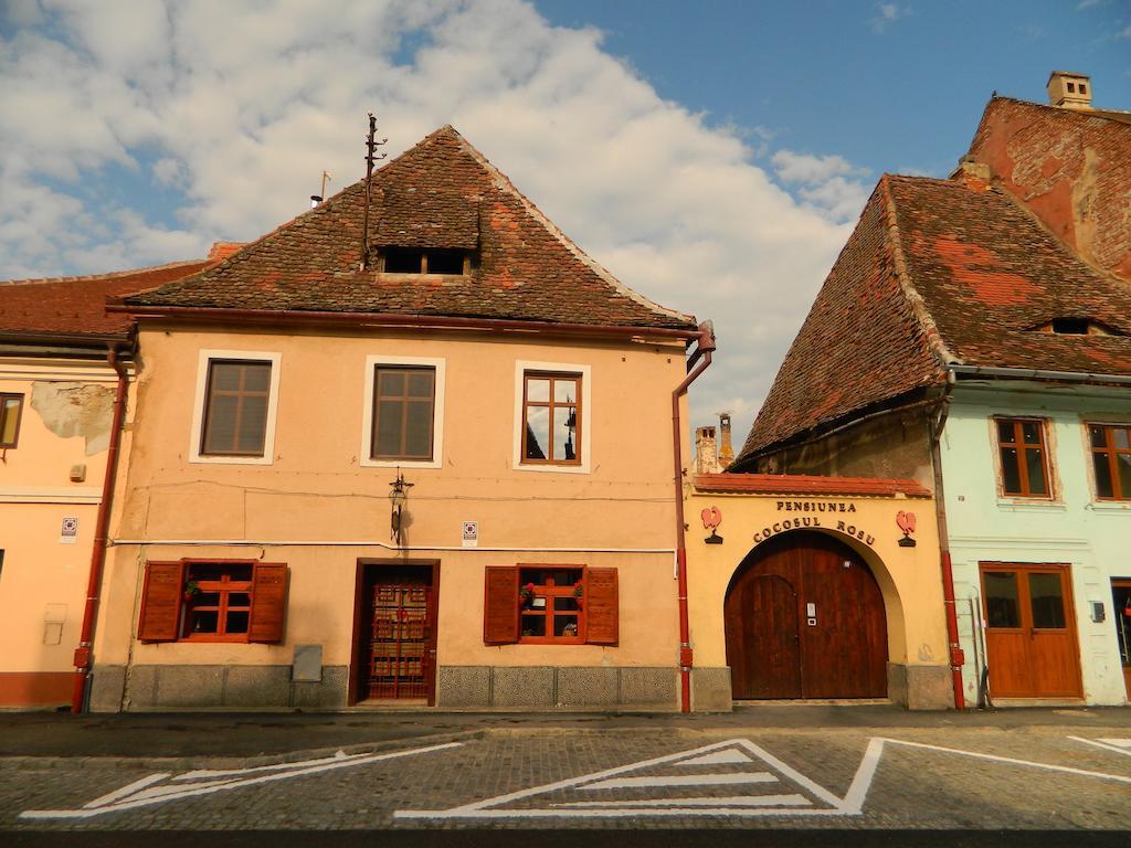 Pensiunea Cocosul Rosu Sibiu Exterior photo