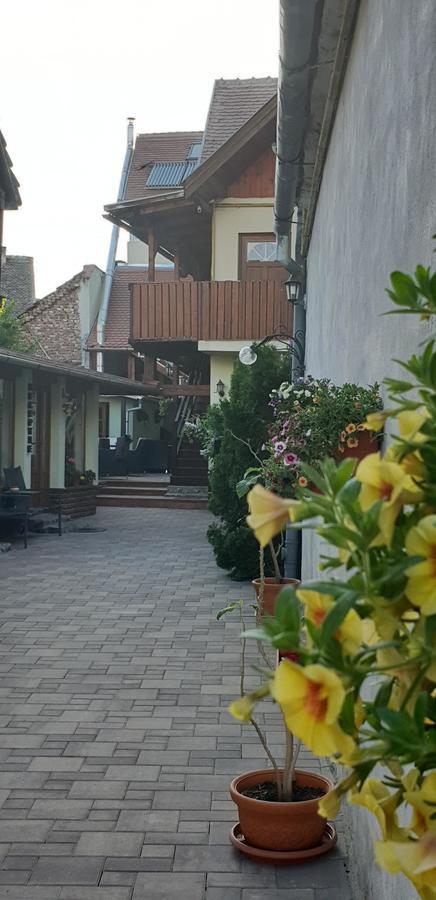 Pensiunea Cocosul Rosu Sibiu Exterior photo