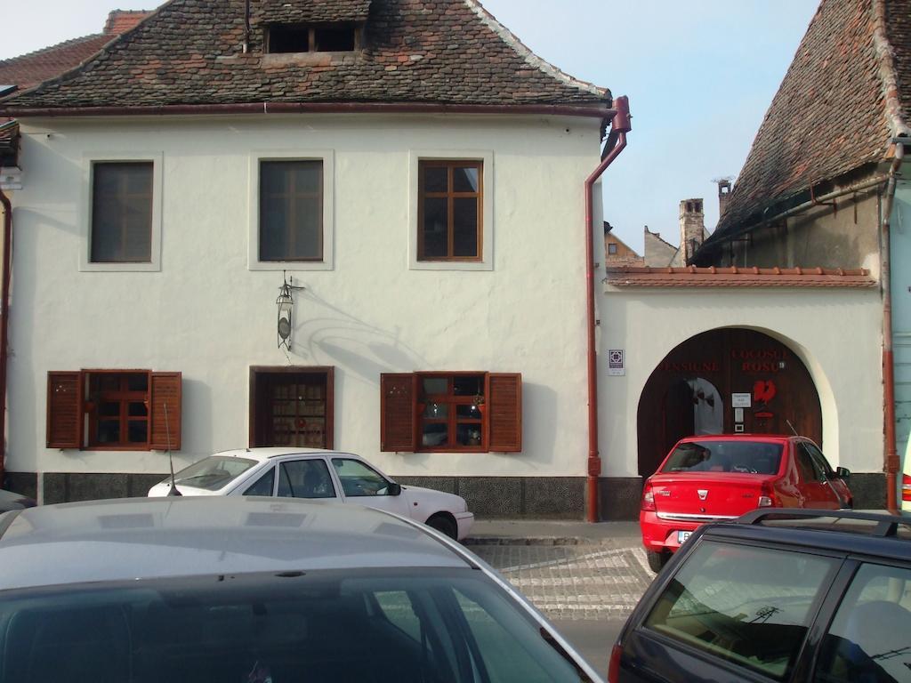 Pensiunea Cocosul Rosu Sibiu Exterior photo