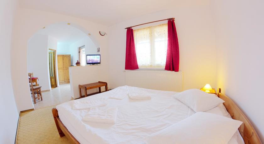 Pensiunea Cocosul Rosu Sibiu Room photo